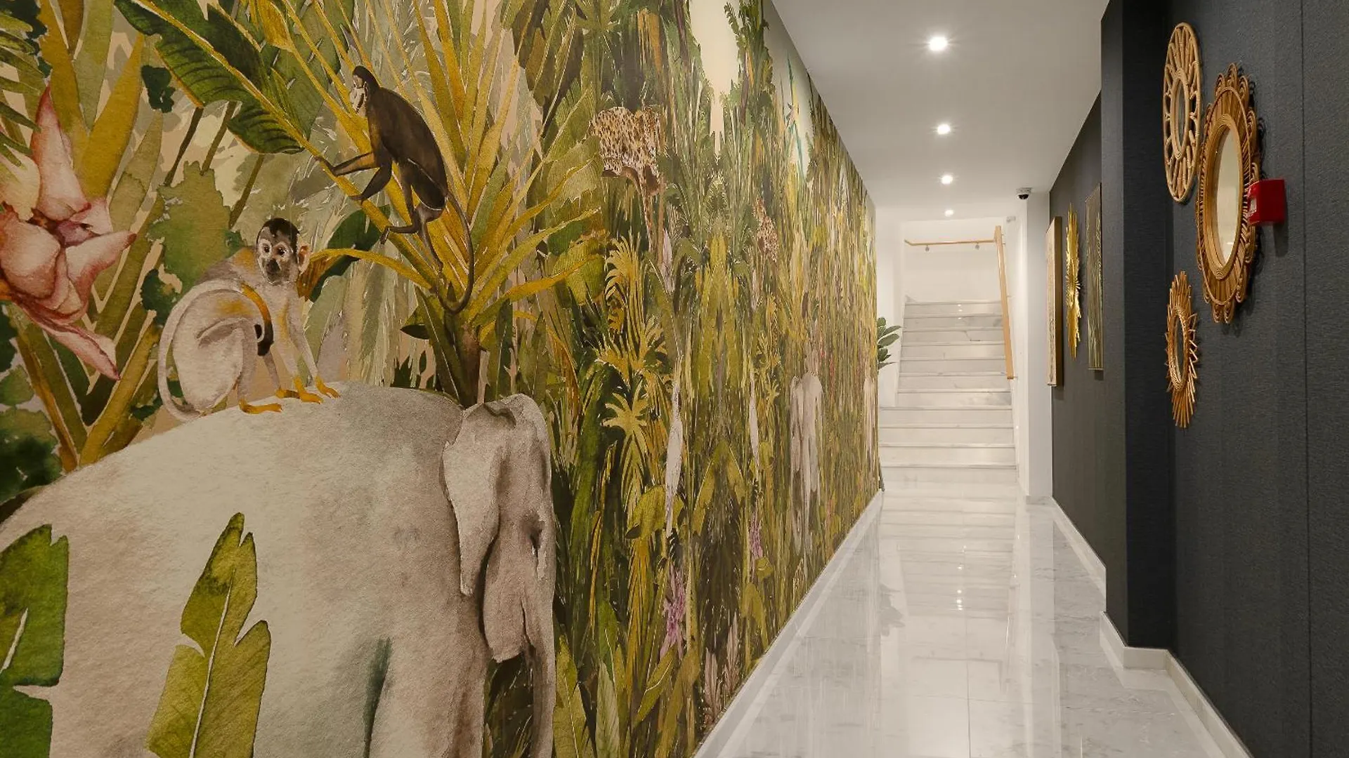 Safira Suites 202 Funchal  Portugal