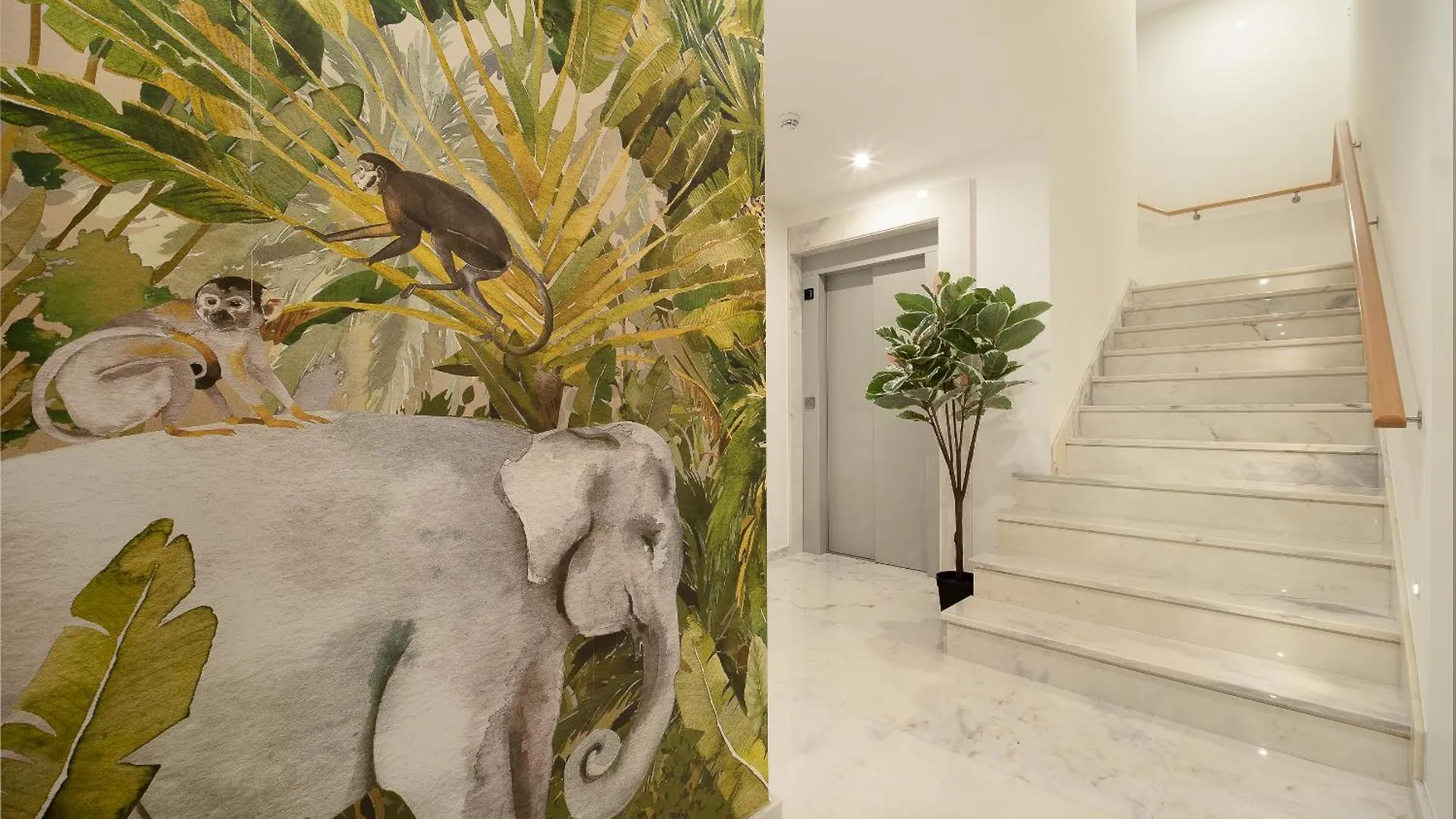 Apartment Safira Suites 202 Funchal