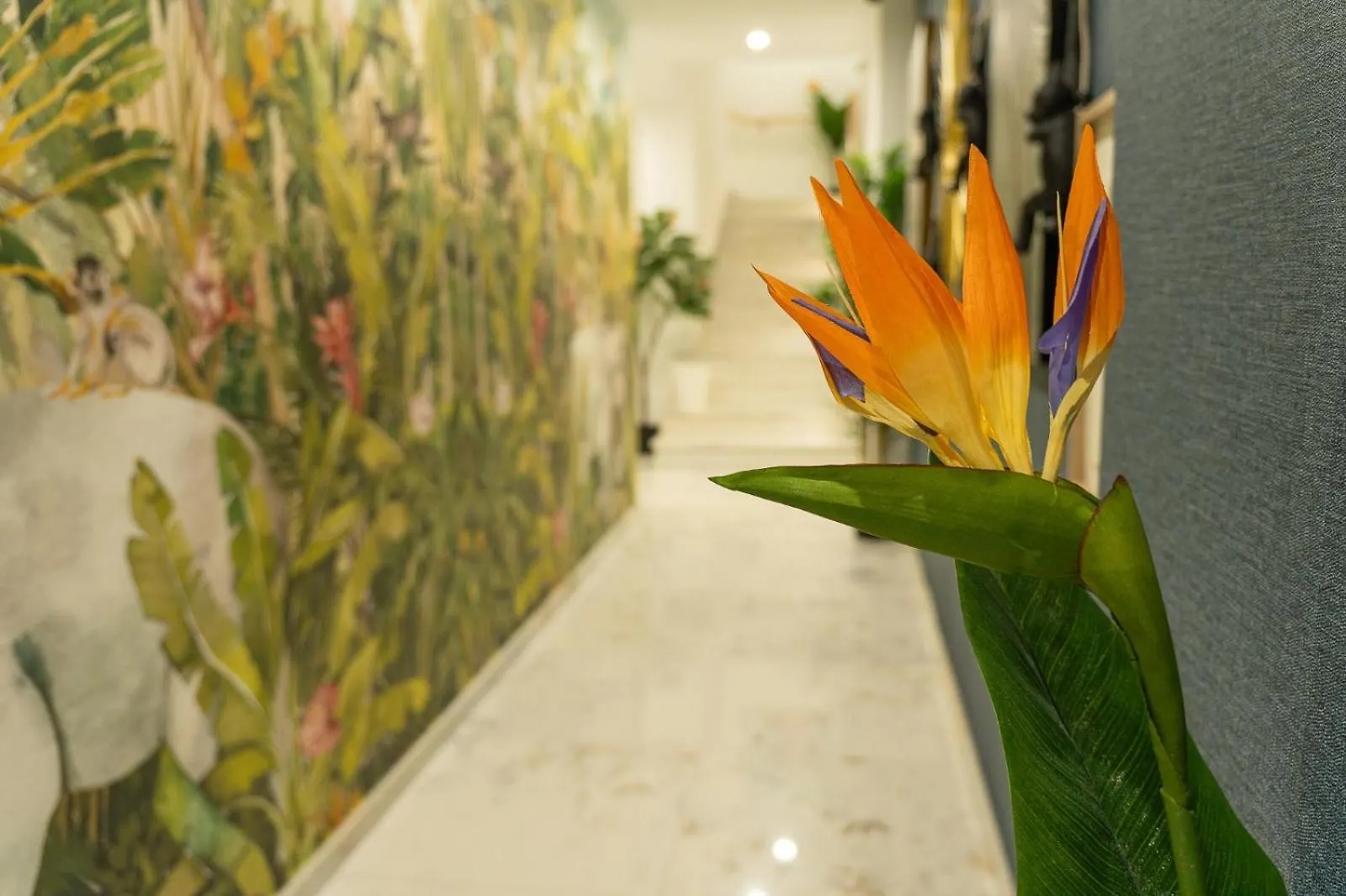 Safira Suites 202 Funchal  Apartment Funchal (Madeira)